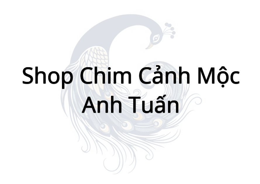Shop Chim Cảnh Mộc Anh Tuấn