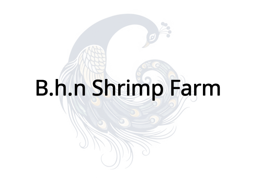 B.H.N Shrimp Farm
