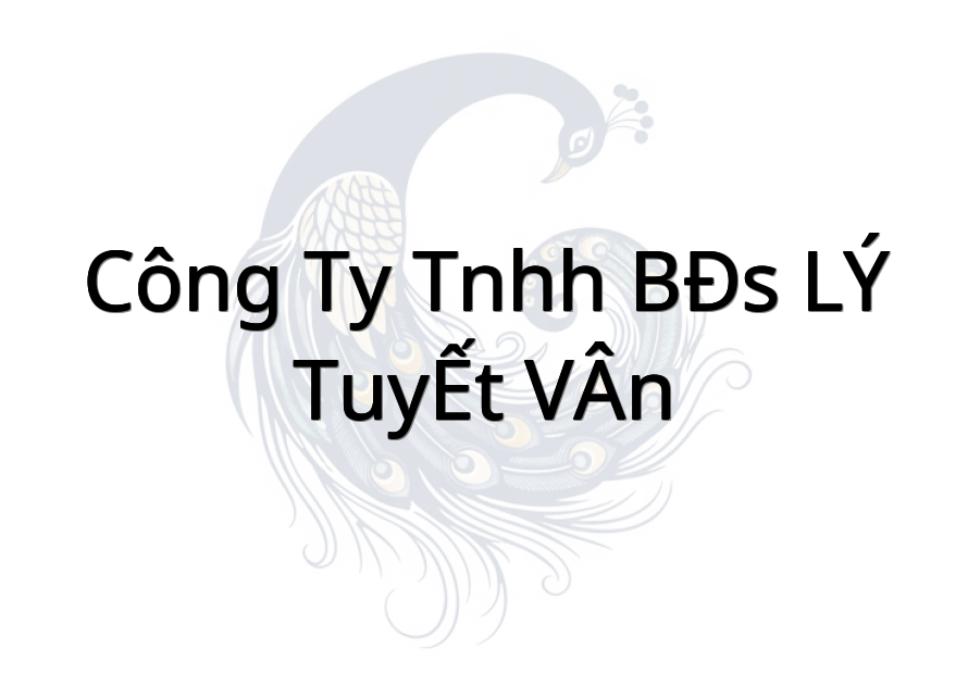 Công ty TNHH BĐS LÝ TUYẾT VÂN