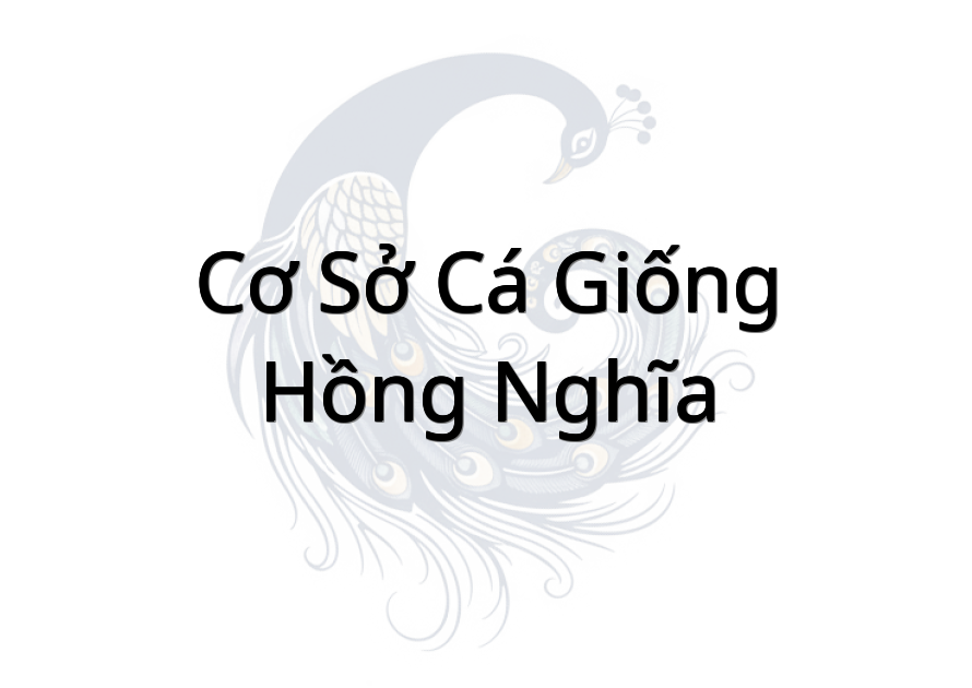 Cơ sở cá giống Hồng Nghĩa