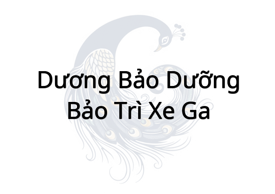 Dương Bảo Dưỡng - Bảo Trì Xe Ga