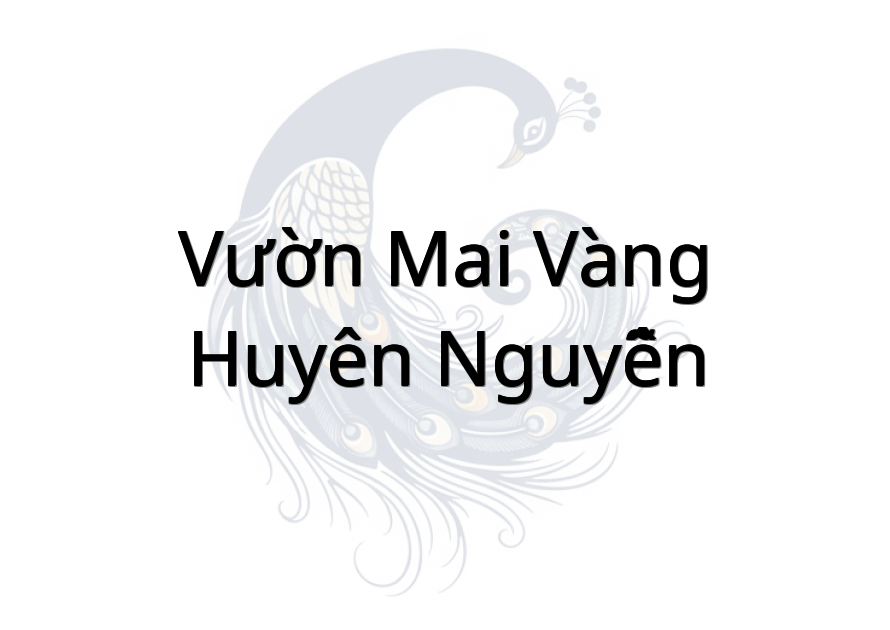 Vườn Mai Vàng Huyên Nguyễn