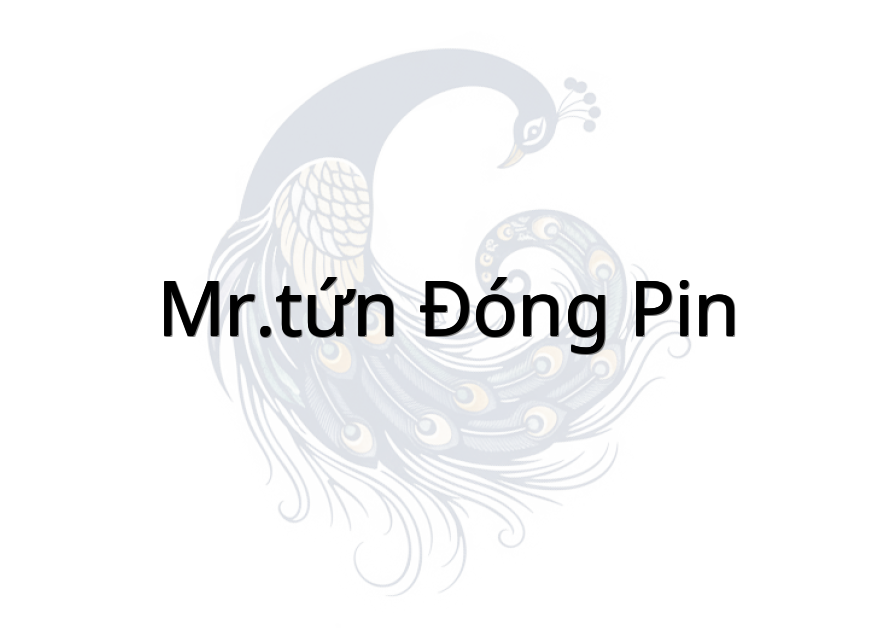 Mr.Tứn Đóng Pin