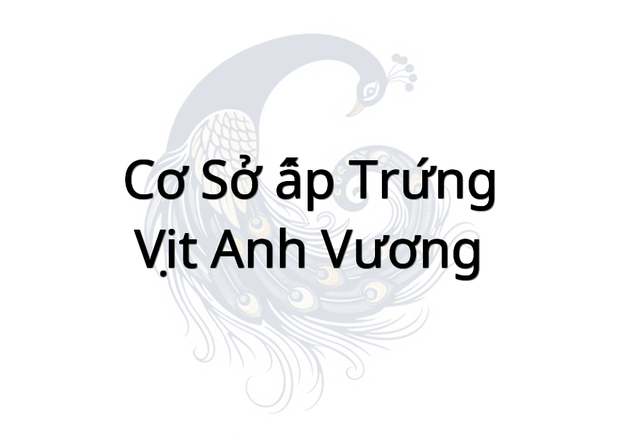 Cơ sở ấp trứng vịt Anh Vương