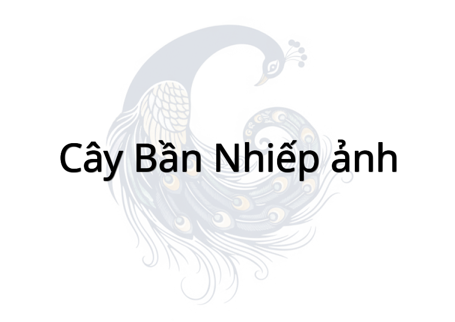 Cây bần Nhiếp ảnh