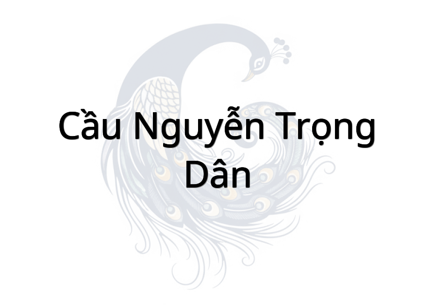 Cầu Nguyễn Trọng Dân