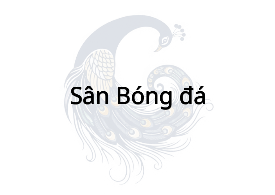 Sân bóng đá