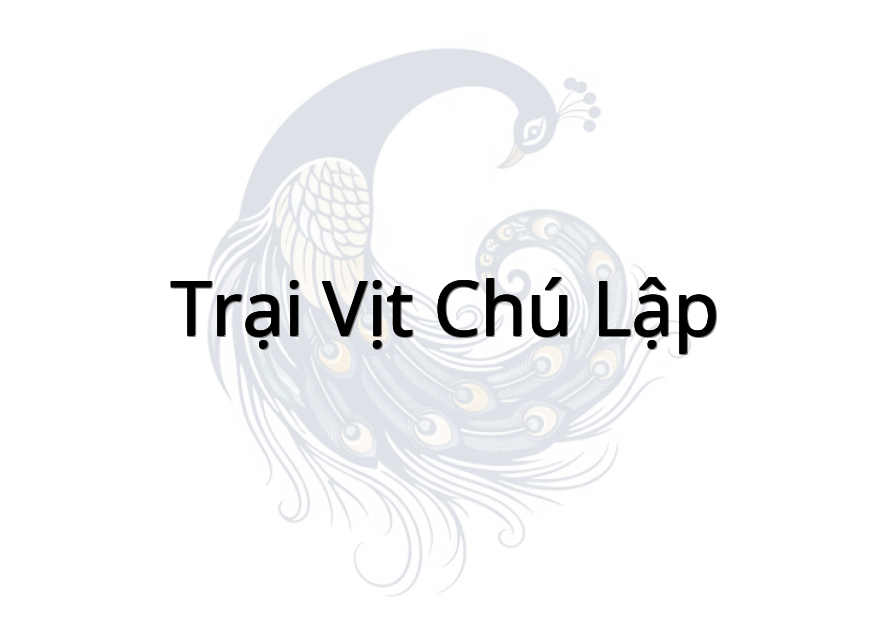 Trại vịt chú Lập