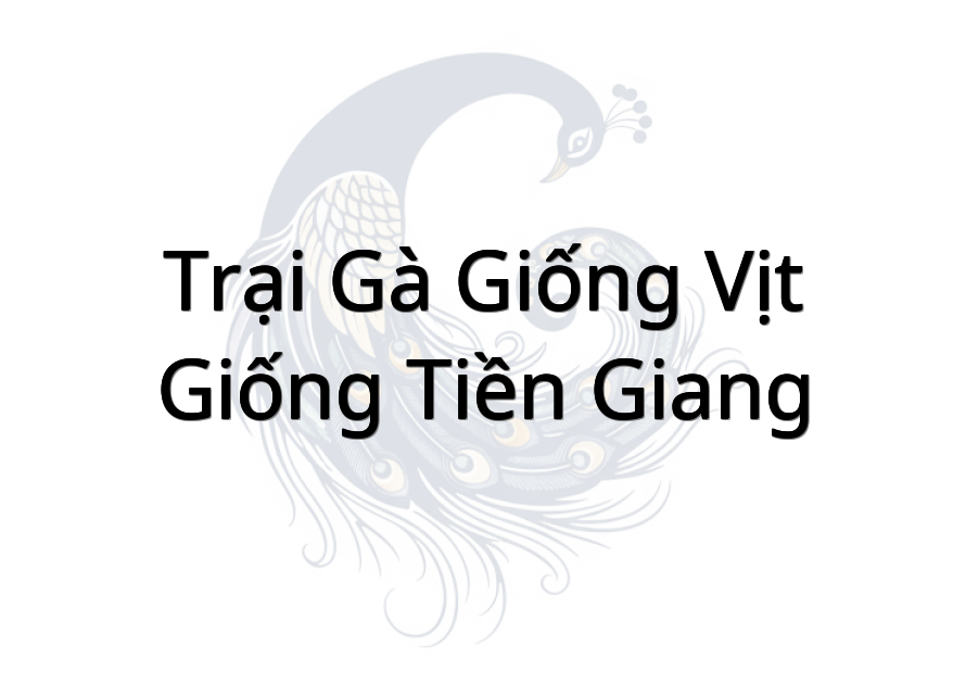 Trại Gà Giống Vịt Giống Tiền Giang