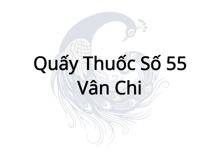 Quấy Thuốc Số 55 Vân Chi