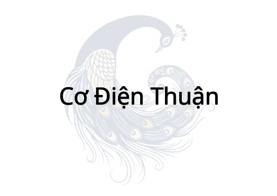 Cơ Điện Thuận