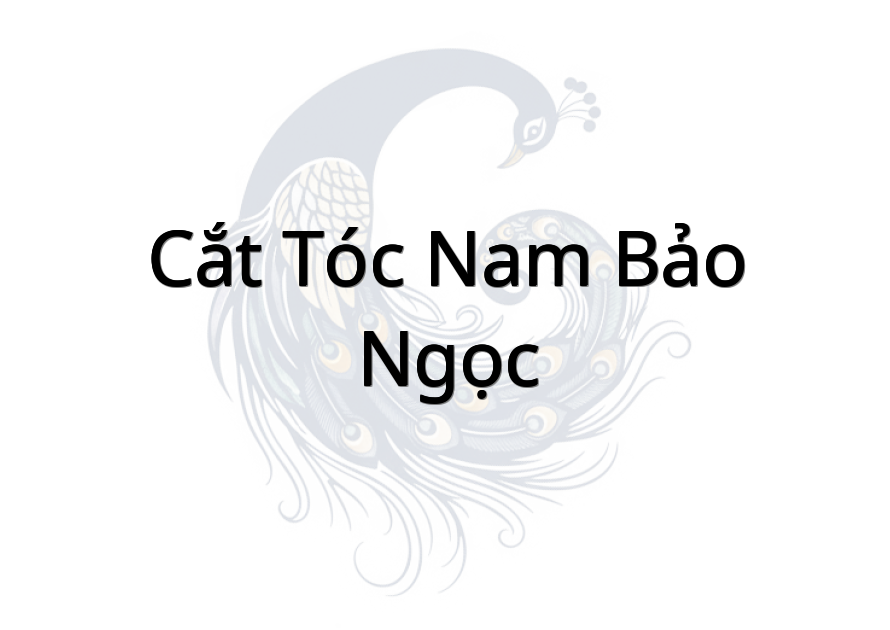 Cắt Tóc Nam Bảo Ngọc