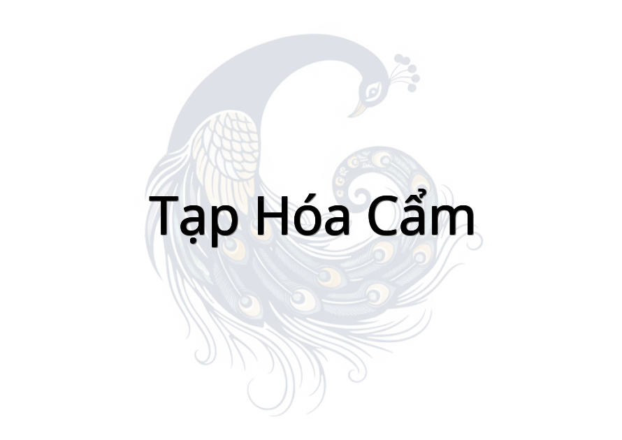 Tạp hóa cẩm