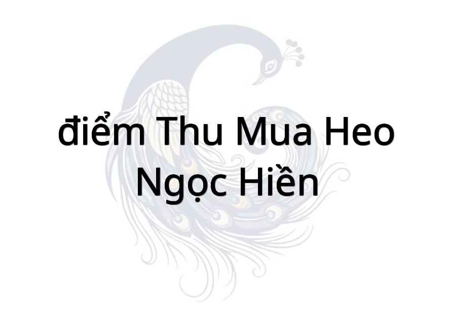 điểm thu mua heo Ngọc Hiền