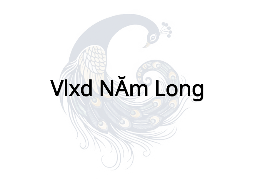VLXD NĂM LONG