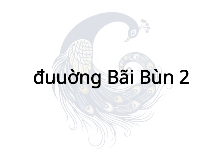 đuuờng Bãi Bùn 2