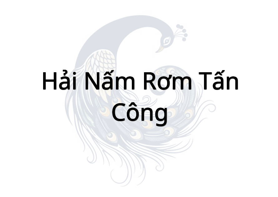 Hải Nấm Rơm (Tấn Công)