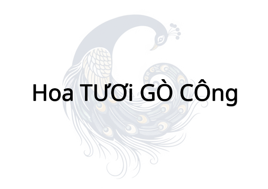 HOA TƯƠI GÒ CÔNG