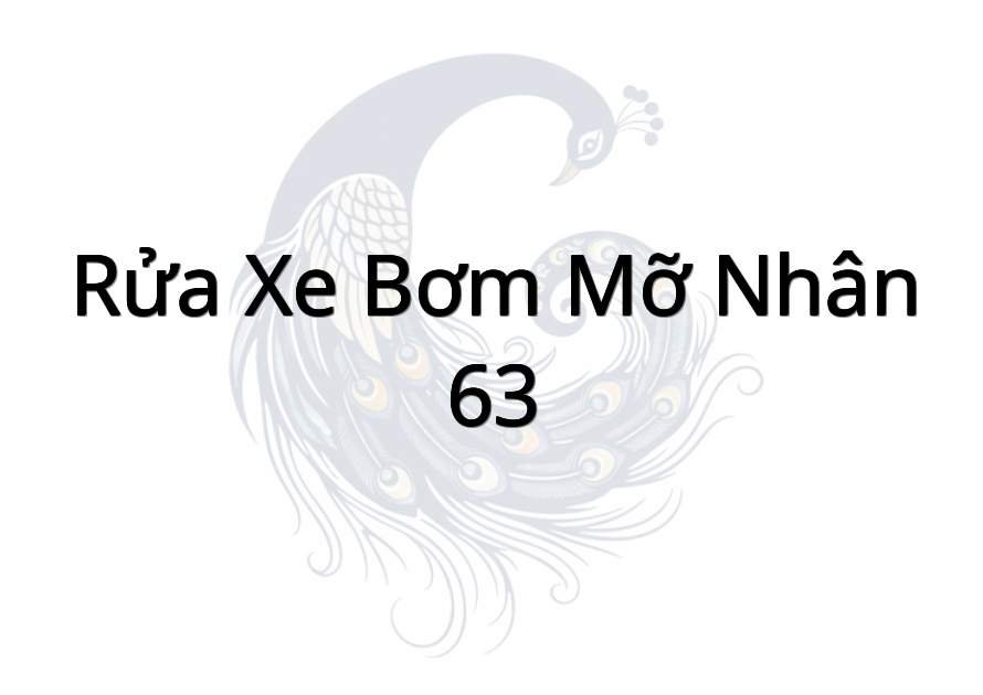 Rửa Xe Bơm Mỡ Nhân 63