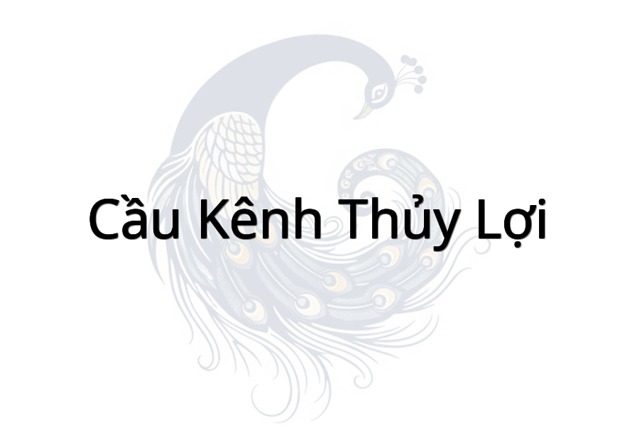 Cầu Kênh Thủy Lợi