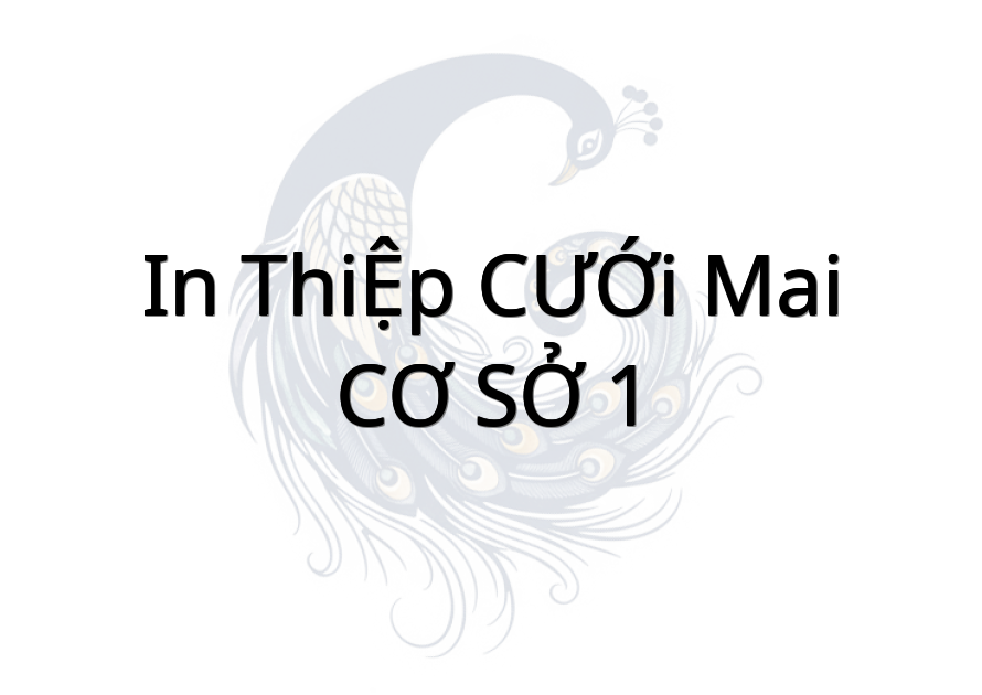 IN THIỆP CƯỚI MAI CƠ SỞ 1