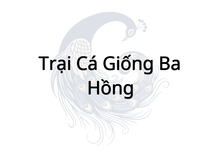 Trại Cá Giống Ba Hồng