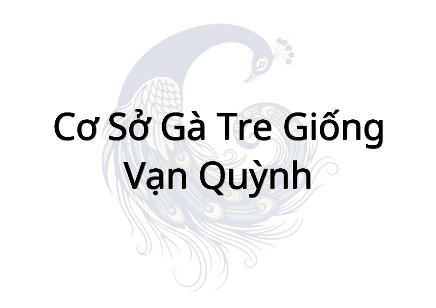 Cơ sở Gà Tre Giống Vạn Quỳnh