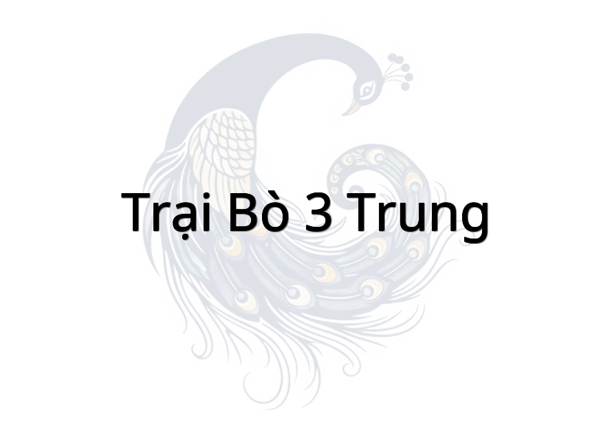 Trại bò 3 Trung