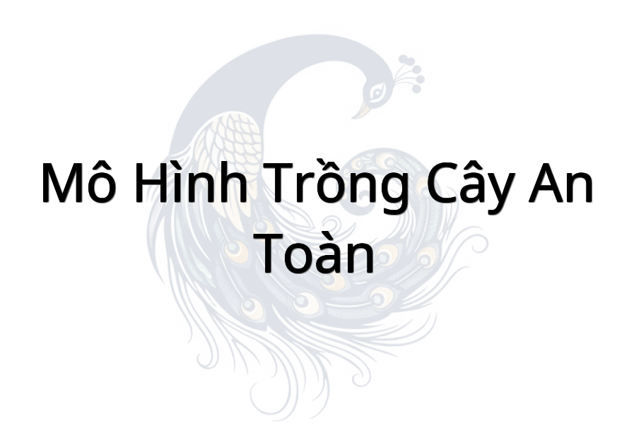 mô hình trồng cây an toàn