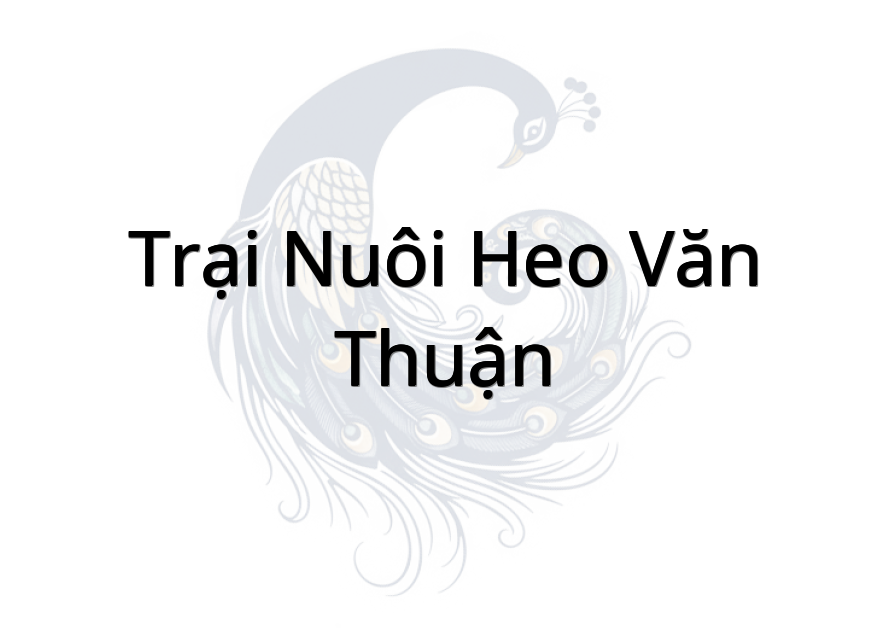 Trại nuôi heo Văn Thuận