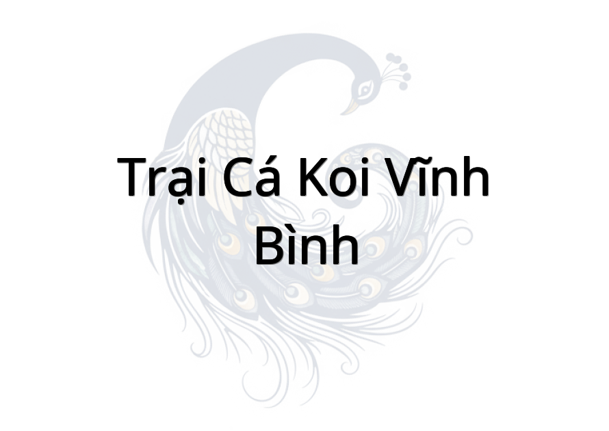 Trại cá koi Vĩnh Bình