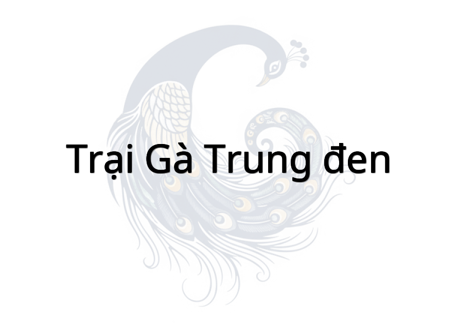Trại gà trung đen