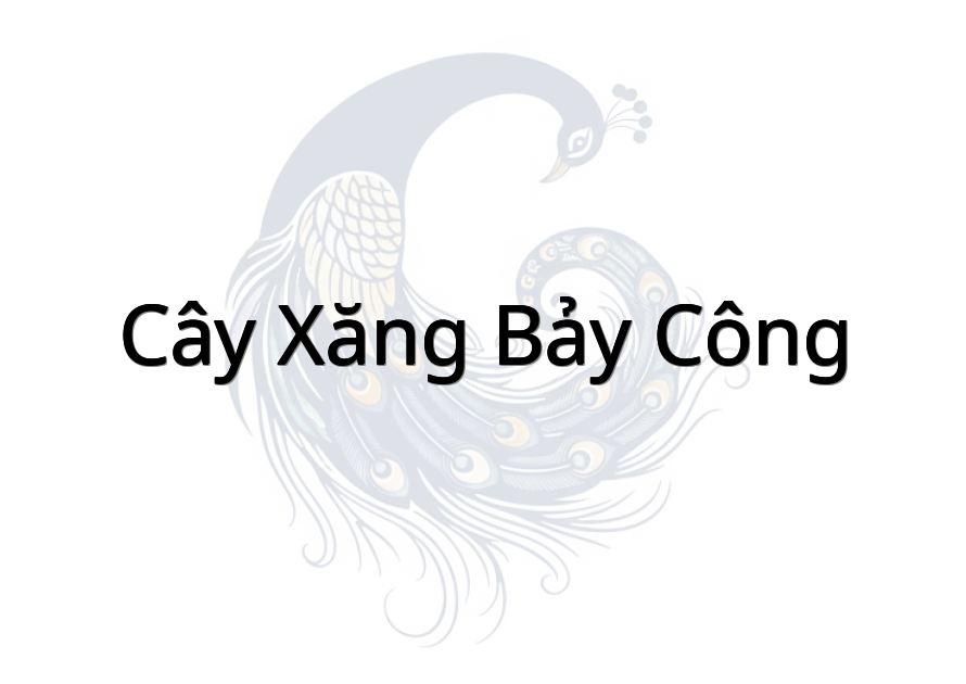 Cây xăng Bảy Công