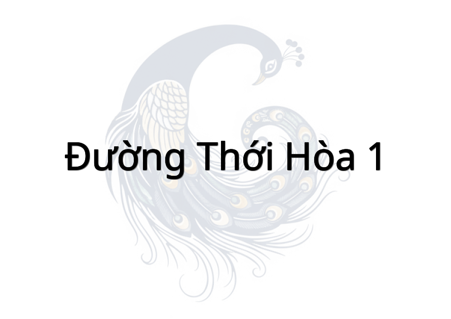 Đường Thới Hòa 1