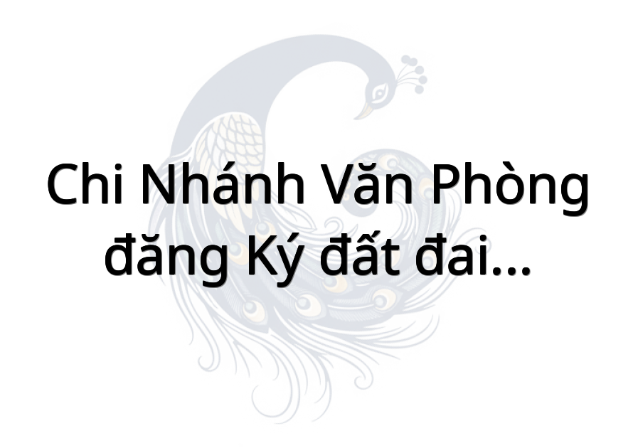 Chi nhánh văn phòng đăng ký đất đai khu vực IX