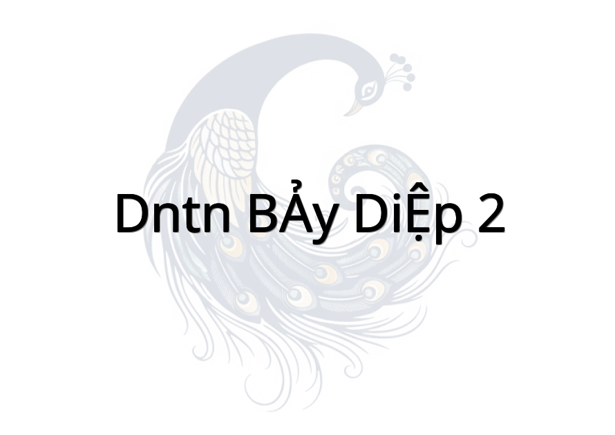 DNTN BẢY DIỆP 2