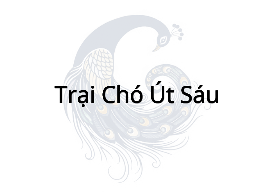Trại Chó Út Sáu