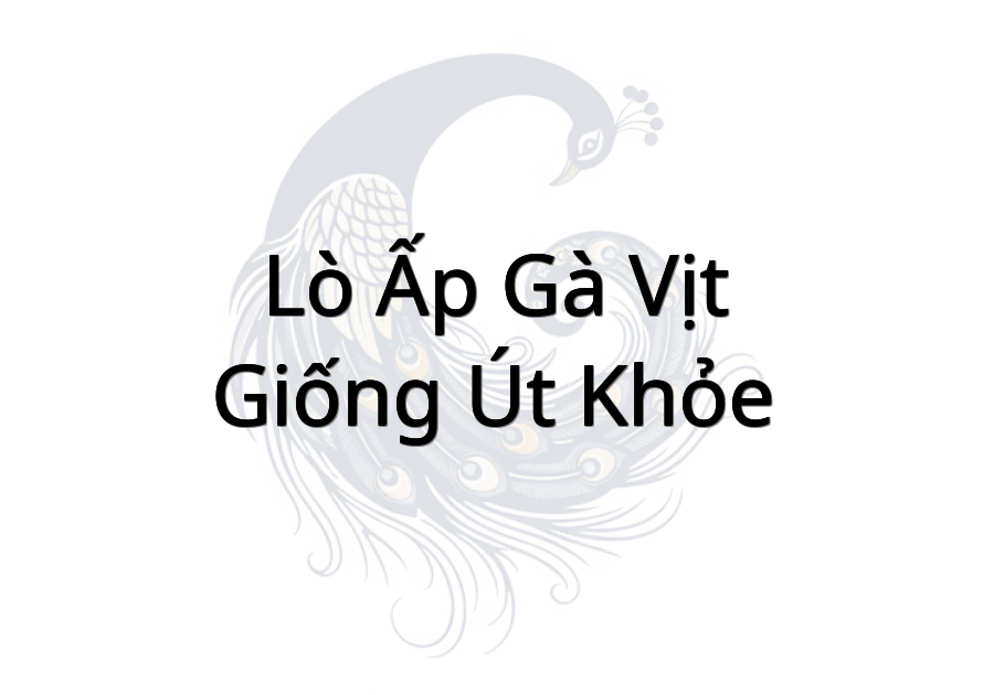 Lò Ấp Gà Vịt Giống Út Khỏe